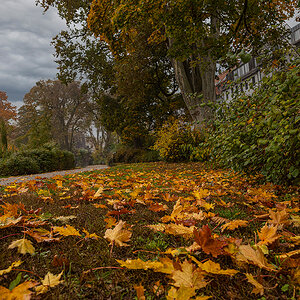 Herbst im Stadtpark