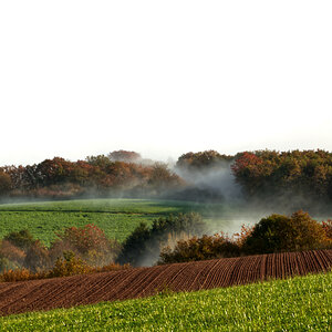 Bremm Nebel über Feldern 1 sauber