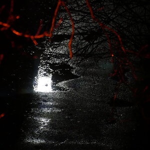 Puddle at night