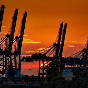 Containerbrücken vor der untergehenden Sonne