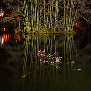 nachts am Teich