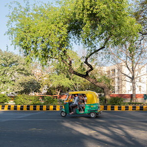 Tuktuk under the Tree.jpg