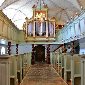 Schlosskapelle - Orgel