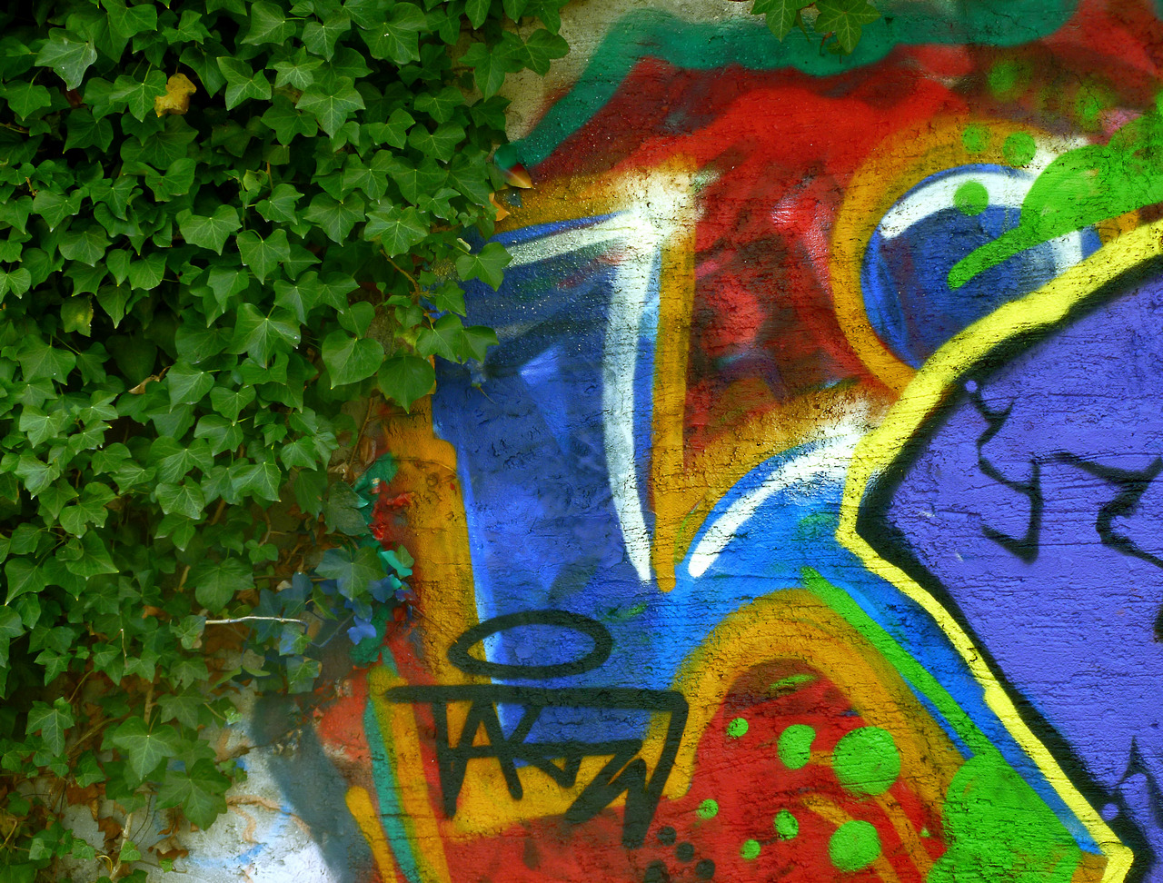 Grafitti mit Efeu