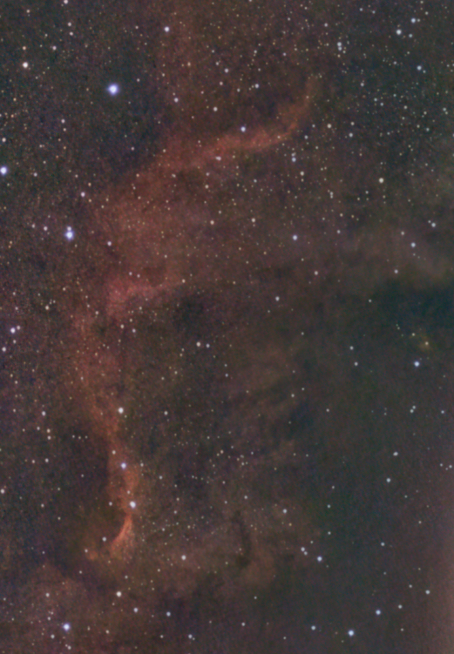 NGC7000 im Schwan