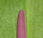 1358