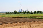 IMG_5617zg2 Landwirtschaft.jpg