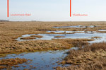 raetsel_48_1.jpg