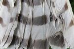 2P9A8621.JPG