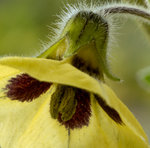 Ausschnitt klein.jpg