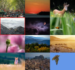 lieblingsbild_20_3_tableau.jpg lieblingsbild_20_3_tableau.jpg