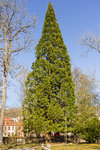 IMG_0845-1 auflösung.jpg