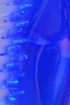 blau_01.jpg