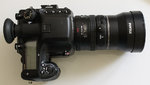 IMGP7376_klein.jpg