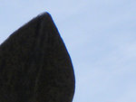 raetsel_60_1.jpg