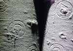 IMG_20201003_214325-1_2.jpg