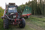 2P9A4305-1 auflösung.jpg