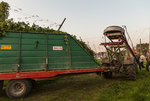 2P9A4308-1 auflösung.jpg