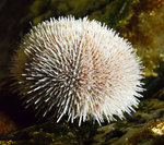 DSC_8656_957.JPG DSC_8656_957.JPG