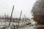 2P9A9583-1 auflösung.jpg