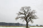 2P9A8778-1 bea+form+auto Schnee auflösung.jpg