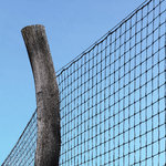 Zaun am Sportplatz bearbeitet.JPG