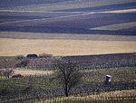 der Frühling steht vor der Tür.jpg
