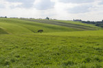 2020_AGoehlich05127_1280_orig.jpg 2020_AGoehlich05127_1280_orig.jpg