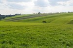2020_AGoehlich05127_1280_gespiegelt.jpg 2020_AGoehlich05127_1280_gespiegelt.jpg