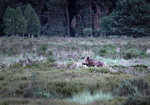 P6250247-keilerheide.jpg