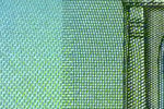 P1050465gzz.jpg
