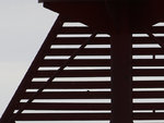 raetsel_210517_1.JPG