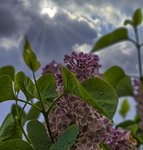 DSC02558_1.jpg DSC02558_1.jpg