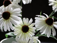 raetsel_210603_0.JPG