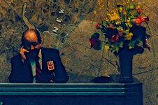 R02_d-pixx Rätsel.jpg