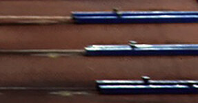 Klein-Hürdenläufer - 10-24.jpg