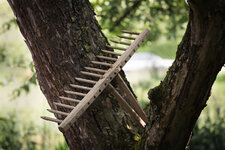 Rätselbild 48 Lösung (2).jpg