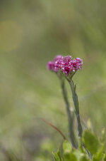 P7100958pxx.jpg