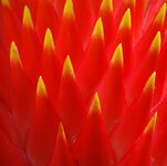 A-Ratebild-5b.jpg A-Ratebild-5b.jpg