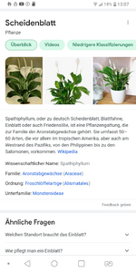 Screenshot_20210804-130756.png