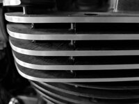 20210625_100916 (2).jpg