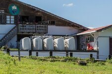 IMG_0921 (2).jpg