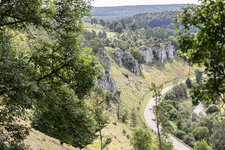 2P9A2453-1 auflösung.jpg 2P9A2453-1 auflösung.jpg