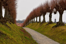 DSC_7101_776.JPG