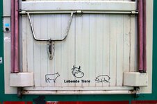 IMG_9058zrgp Rätsel 4.jpg