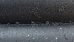 IMG_8769.jpg