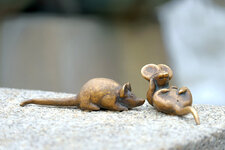 4-DSCF6052k.jpg 4-DSCF6052k.jpg