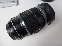 P1010025.jpg
