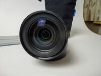 P1010026.jpg