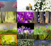 _liebling_22_1_RASTER.jpg _liebling_22_1_RASTER.jpg